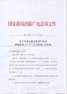 網(wǎng)絡(luò)文化經(jīng)營(yíng) 新時(shí)代的文化產(chǎn)業(yè)機(jī)遇與挑戰(zhàn)